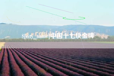 阿拉善盟中国十七块金牌