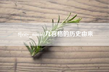 阿拉善盟九宫格的历史由来
