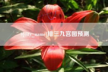 阿拉善盟排三九宫图预测
