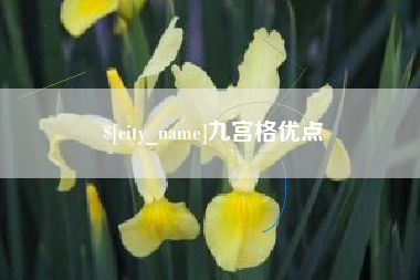 阿拉善盟九宫格优点