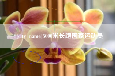 阿拉善盟5000米长跑国家运动员