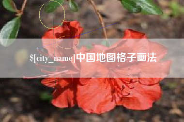 阿拉善盟中国地图格子画法