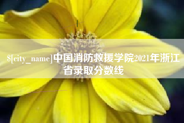 阿拉善盟中国消防救援学院2021年浙江省录取分数线