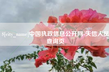阿拉善盟中国执政信息公开网-失信人员查询页