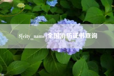 阿拉善盟全国消防证书查询