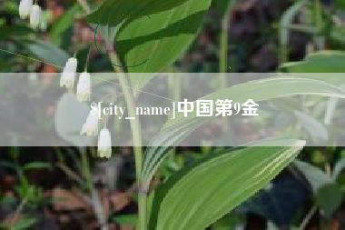阿拉善盟中国第9金