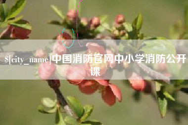阿拉善盟中国消防官网中小学消防公开课