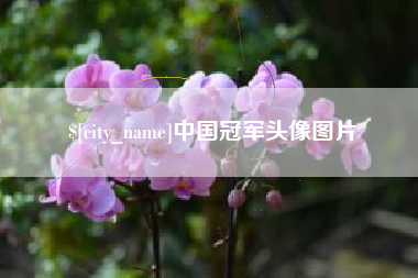 阿拉善盟中国冠军头像图片