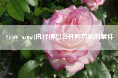 阿拉善盟执行信息公开网查到的案件