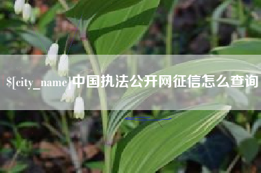 阿拉善盟中国执法公开网征信怎么查询