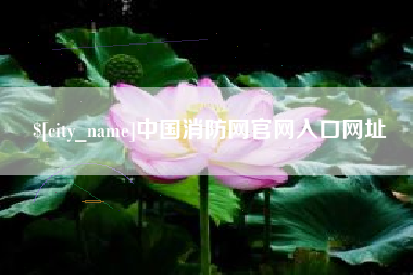 阿拉善盟中国消防网官网入口网址