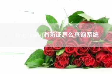 阿拉善盟消防证怎么查询系统