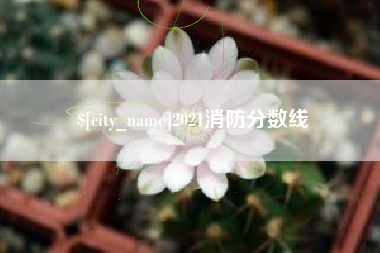 阿拉善盟2021消防分数线