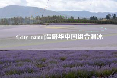 阿拉善盟温哥华中国组合滑冰