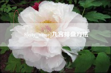 阿拉善盟九宫排盘方法