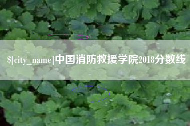 阿拉善盟中国消防救援学院2018分数线