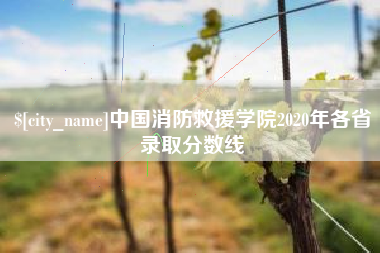 阿拉善盟中国消防救援学院2020年各省录取分数线