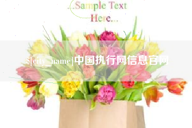 阿拉善盟中国执行网信息官网