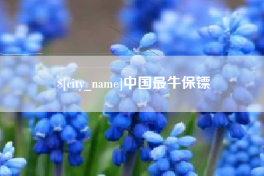阿拉善盟中国最牛保镖
