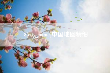 阿拉善盟中国地图精细