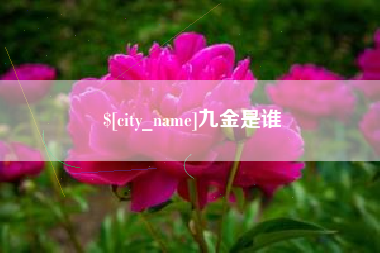 阿拉善盟九金是谁