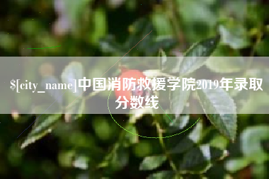 阿拉善盟中国消防救援学院2019年录取分数线