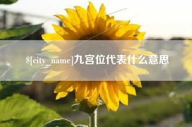 阿拉善盟九宫位代表什么意思