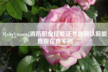 阿拉善盟消防职业技能证书查询以前能查现在查不到