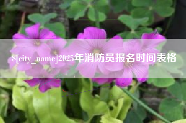 阿拉善盟2025年消防员报名时间表格
