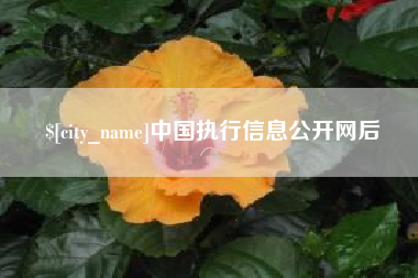 阿拉善盟中国执行信息公开网后