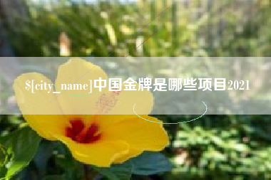 阿拉善盟中国金牌是哪些项目2021