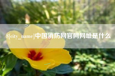 阿拉善盟中国消防网官网网址是什么