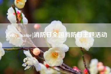 阿拉善盟消防日全国消防日主题活动