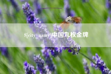 阿拉善盟中国九枚金牌