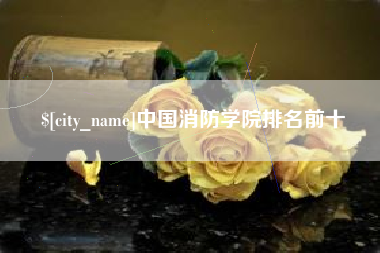 阿拉善盟中国消防学院排名前十