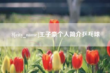 阿拉善盟王子豪个人简介乒乓球