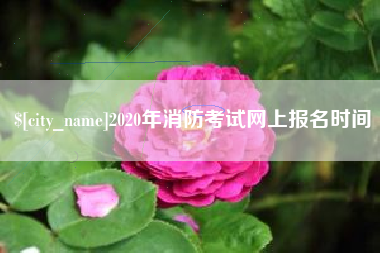阿拉善盟2020年消防考试网上报名时间