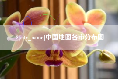 阿拉善盟中国地图各市分布图