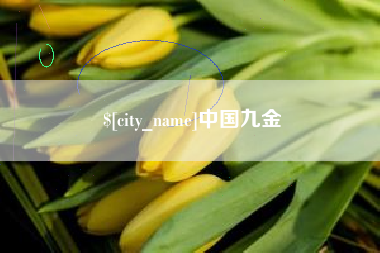 阿拉善盟中国九金