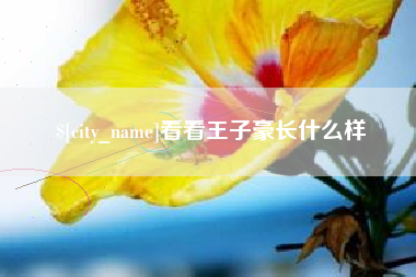 阿拉善盟看看王子豪长什么样