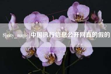 阿拉善盟中国执行信息公开网真的假的