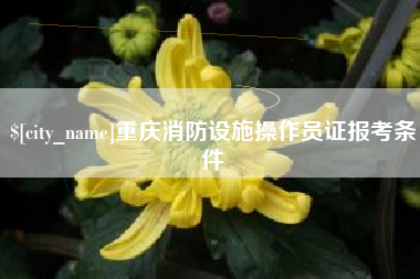 阿拉善盟重庆消防设施操作员证报考条件