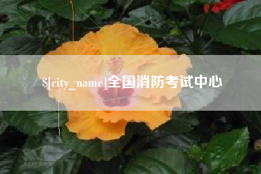 阿拉善盟全国消防考试中心