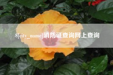 阿拉善盟消防证查询网上查询