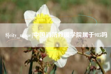 阿拉善盟中国消防救援学院属于985吗