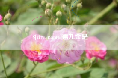 阿拉善盟第九金是