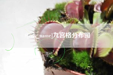 阿拉善盟九宫格分布图