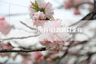 阿拉善盟11月9日消防日全称