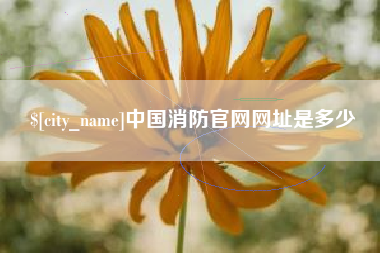 阿拉善盟中国消防官网网址是多少