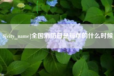 阿拉善盟全国消防日是每年的什么时候